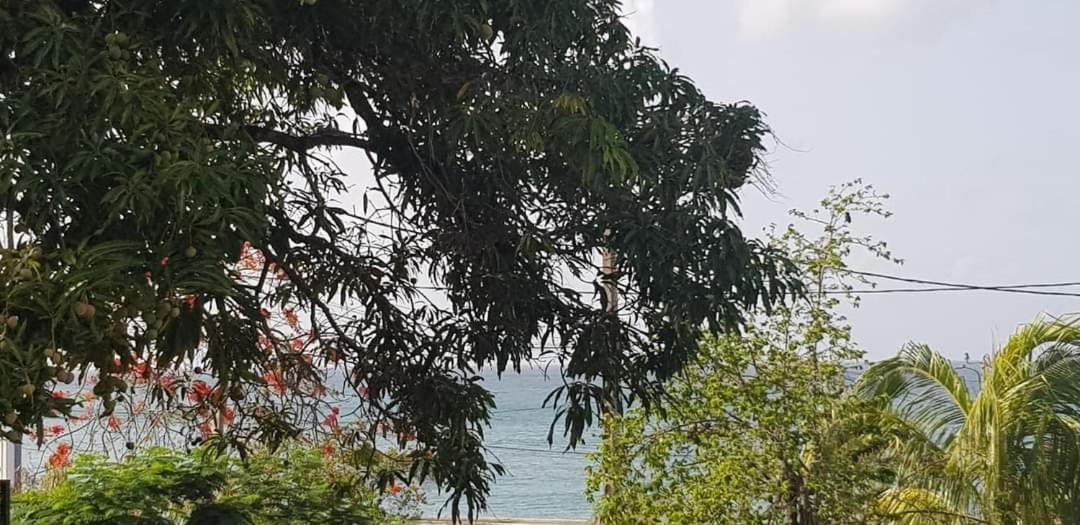 Ti Paillettes Calme Vue Mer Et Plage A 50 M Le Diamant Zimmer foto